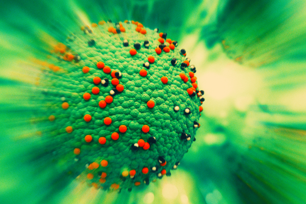 Texas Measles Outbreak Ends After 762 Cases, Health Officials Confirm